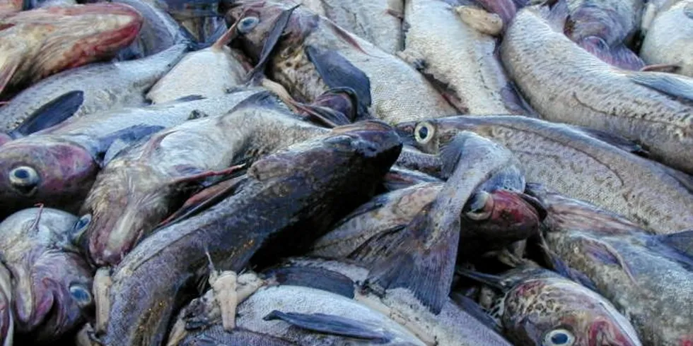 The Alaska pollock sector has been levelled with fines of more than $350 million by US Customs.