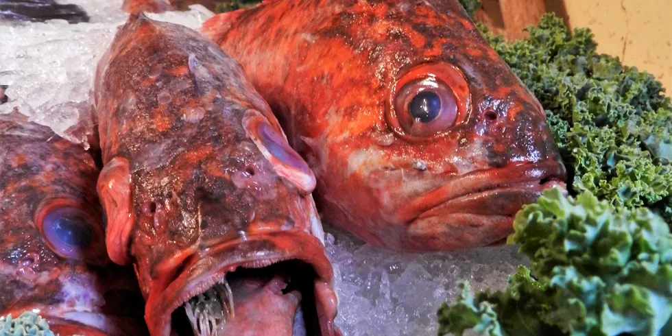 The USDA is currently seeking bids for Pacific rockfish.