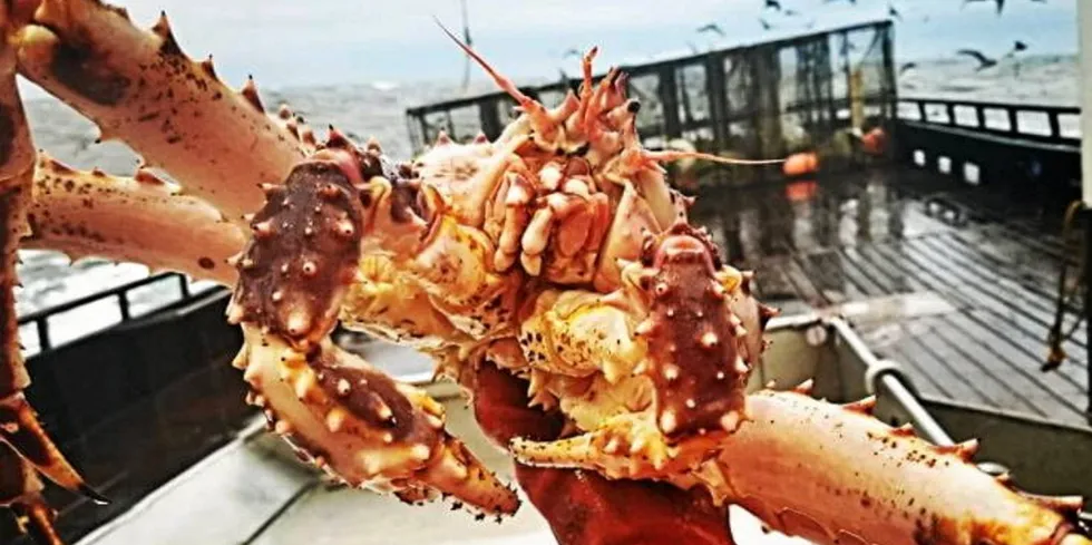 Alaska's iconic Bristol Bay red king crab fishery was closed for the first time in 2021.