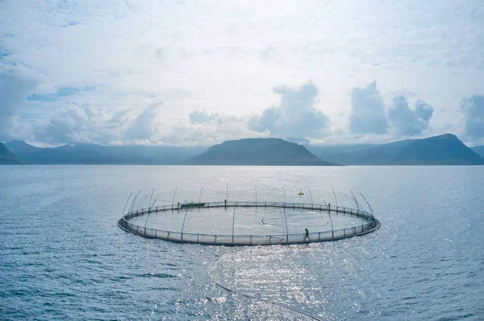Iceland officials revoked a license issued to Icelandic Salmon’s production division, Arnarlax, due to inadequate assessment of potential risks associated with fish diseases and parasites.