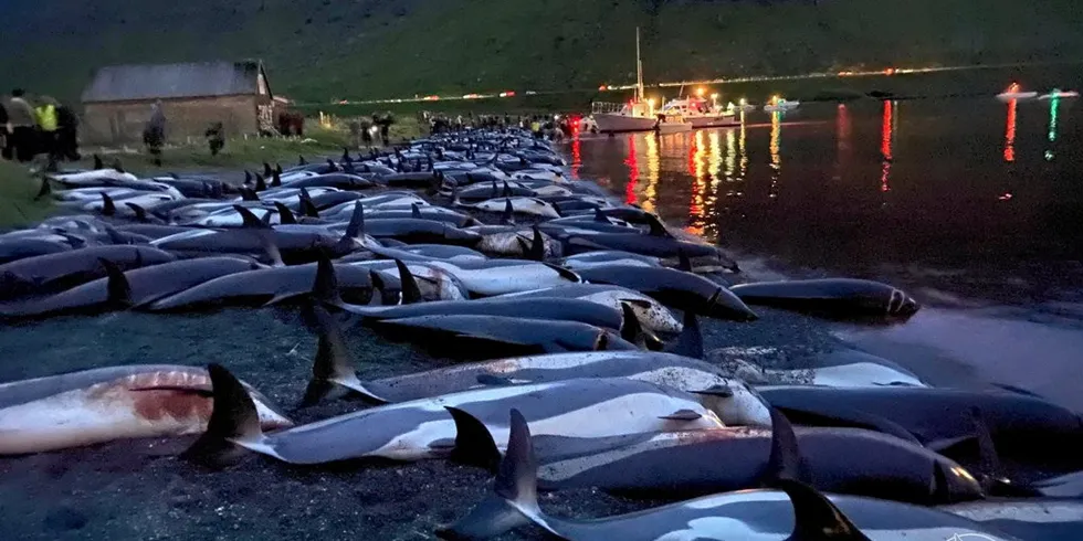 . 1500 dolphins killed on a Faroese beach.