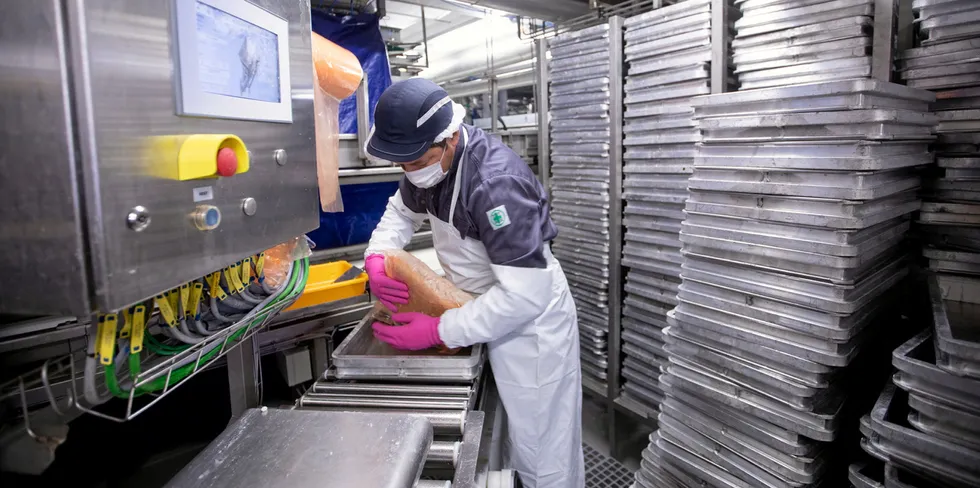 A worker packs pollock surimi aboard a Russian Fishery Company vessel.