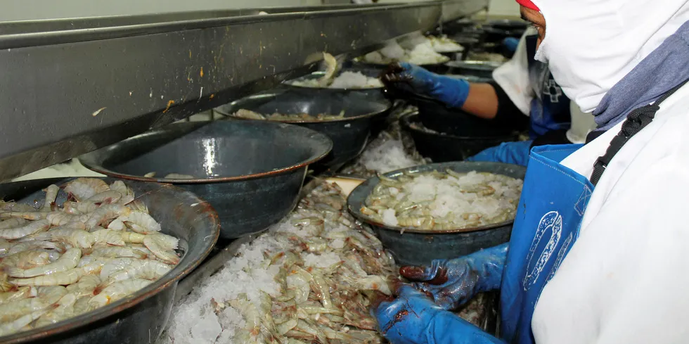 China officially suspended imports from three Ecuadorian shrimp producers due to traces of COVID-19 found on products.