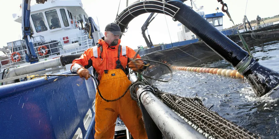 Salmon escapes will be priority this year.