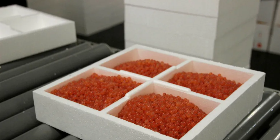 Frozen roe from StofnFiskur ready for shipment.