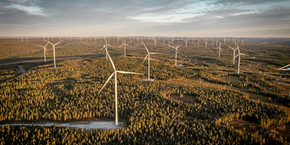 Markbygden 1101 wind farm in northern Sweden