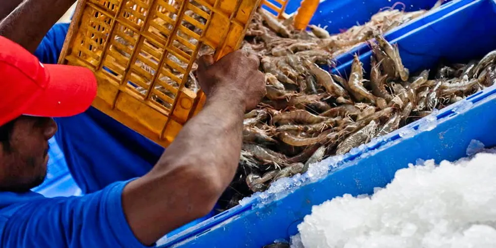 Indian shrimp exporters are seeking to add value to their products.