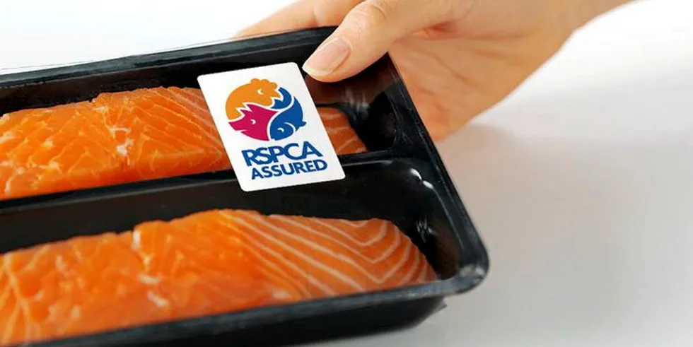 Scottish Salmon Watch filed a welfare complaint on July 19 with RSPCA Assured, the Animal and Plant Health Agency, the Scottish Government and Police Scotland’s Wildlife Crime Unit.