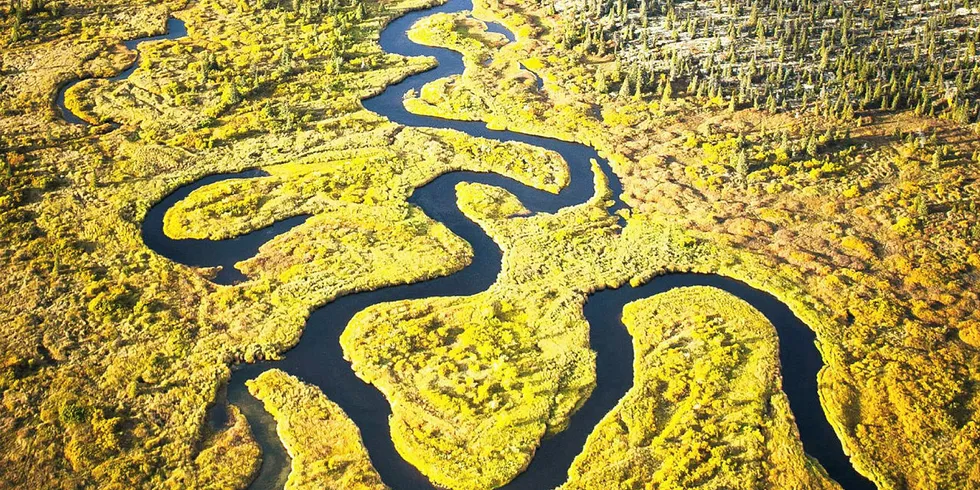 Opponents of a massive mine project for Bristol Bay fear a 30-day extension is not enough time to review its interaction with the salmon fishery.