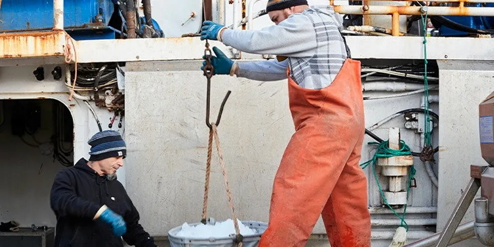 "The amount of groundfish quota owned by Blue Harvest Fisheries is not enough to create antitrust issues in the groundfish fishery," Blue Harvest said in a response to information reported by investigative news outlet ProPublica.