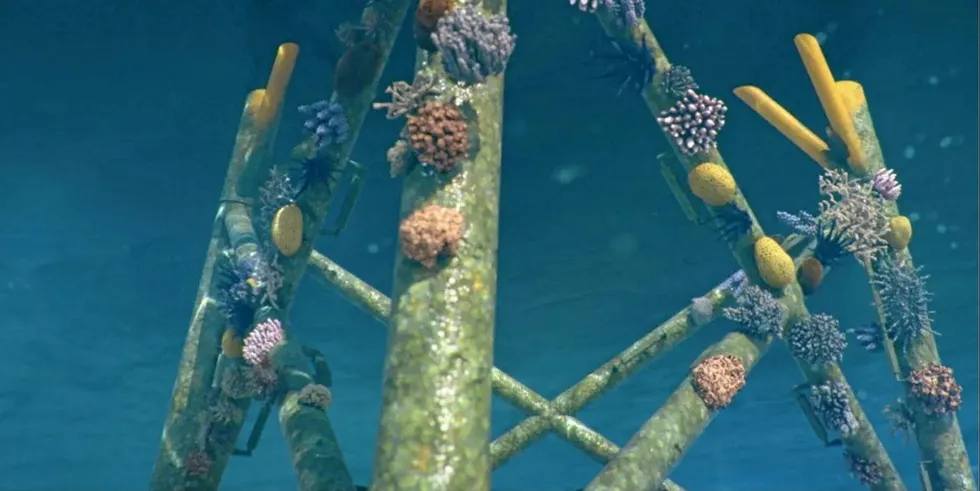 Rendering of concept for reefs at offshore foundations by Shell rival Orsted