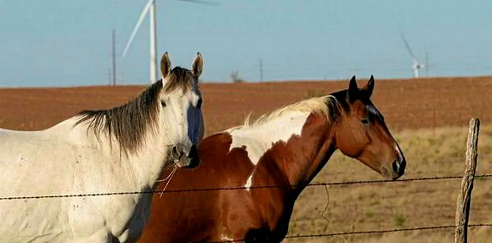 AEP's $2bn Oklahoma wind expansion plan hits key milestone