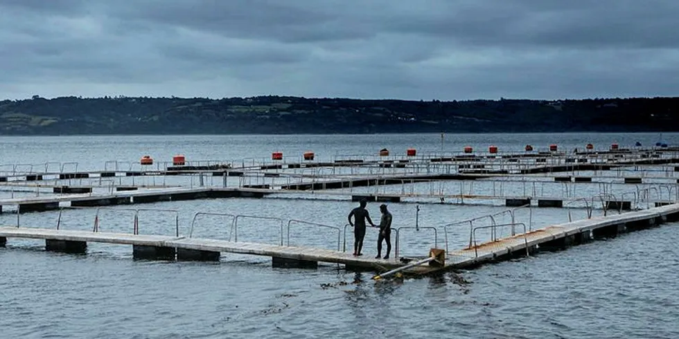 Salmon farm, Chile. Estado Salmonero.