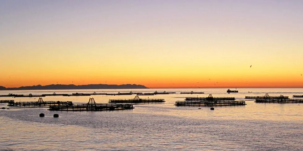 Culmarex Plagua marine farm off Almeria