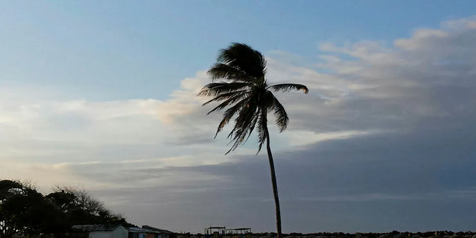 Brazil's oldest wind farm, Mucuripe at Fortaleza in Ceará