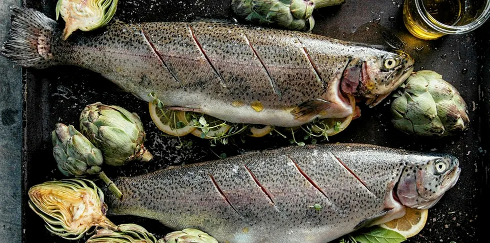 Riverence aims to make a premium trout product.