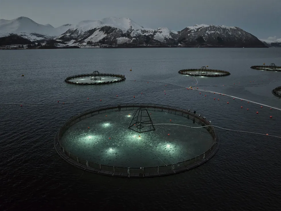 Norwegian cod farmer Ode currently has six farms in operation. It won approval this year for a seventh and operates a further site as part of a joint venture.