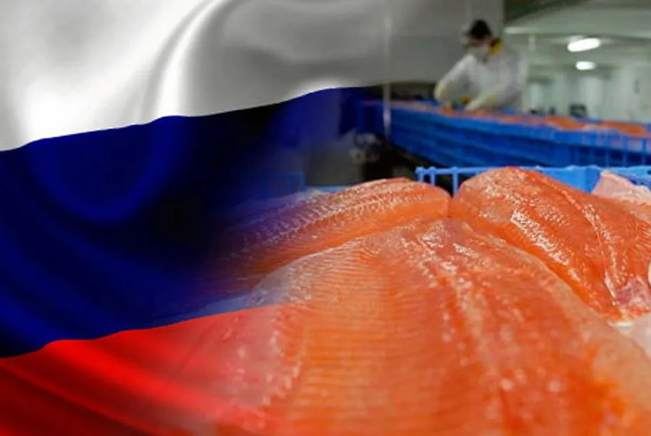 Russia's total imports of fish and seafood from Chile in 2024 slid 25 percent in volume compared to 2023, reaching 50,000 metric tons.