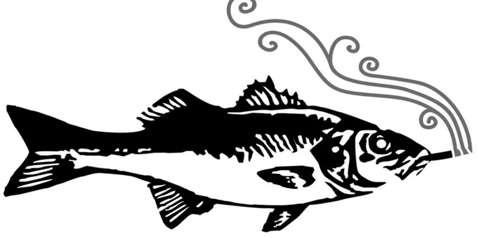 From the Archive: Is the time right for marijuana-infused seafood?