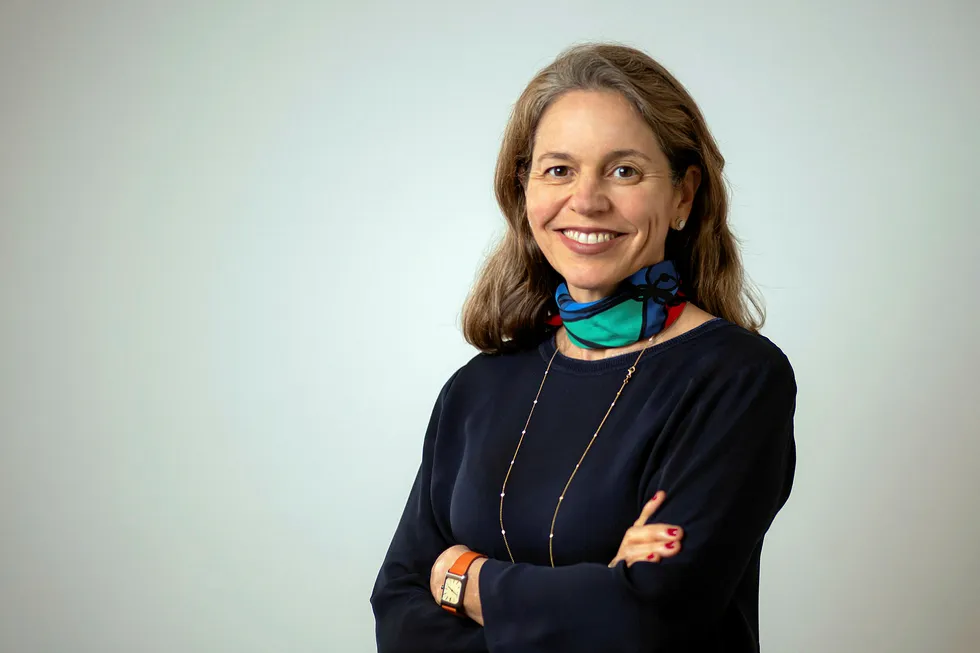 Future energy: IBP president Clarissa Lins, who is also the founding partner of consultancy Catavento