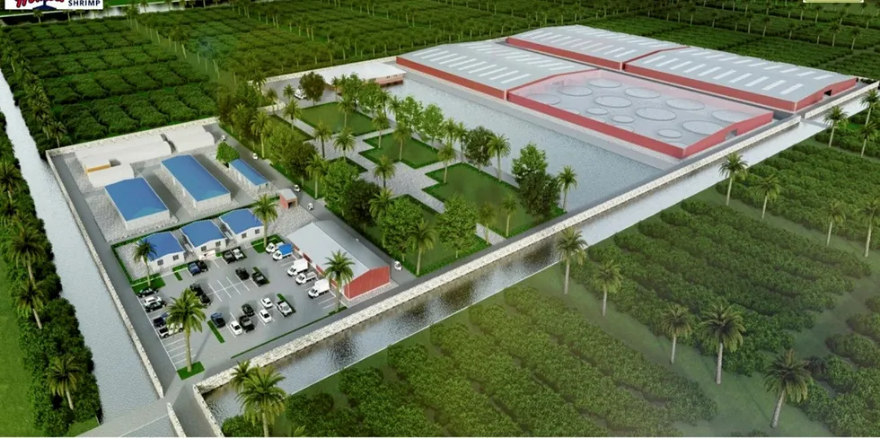 The plan for CP Foods' US shrimp farm, Homegrown Shrimp.