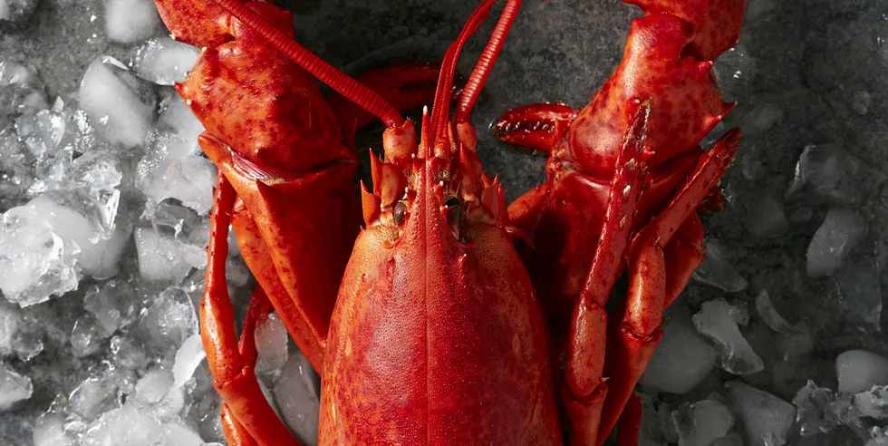 Alibaba wants to be ‘gateway to China’ for Canadian seafood