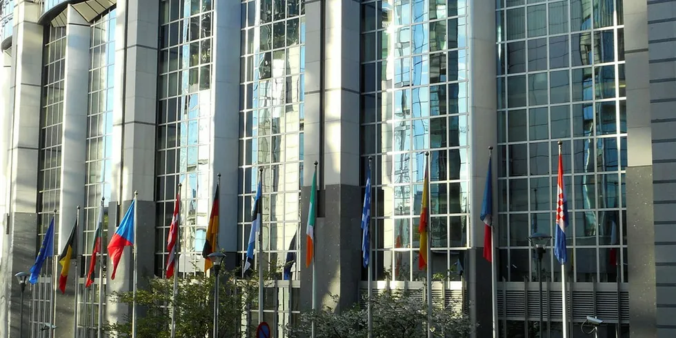 EU authorities raid Mowi, Scottish Sea Farms, Grieg UK operations