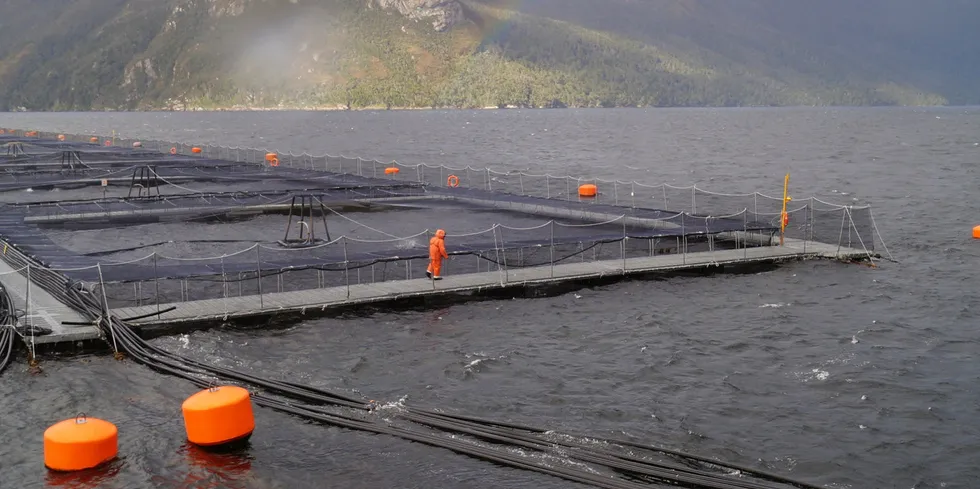 Nova Austral battled another quarter filled with both legal and biological setbacks.