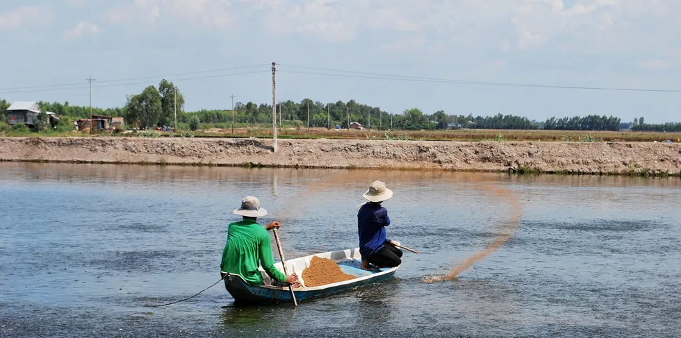 Vietnam is the largest producer of pangasius, accounting for easily more than half of global production.