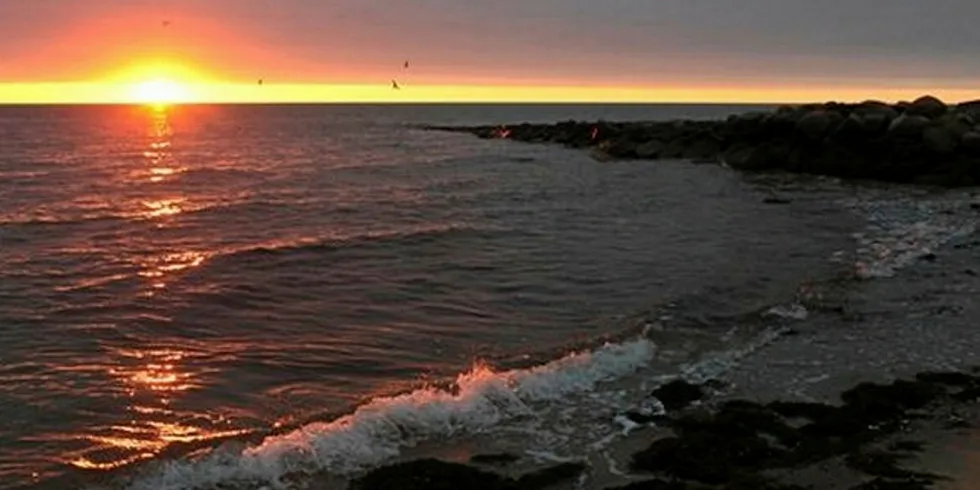 Looking out from Cape Cod, Massachusetts