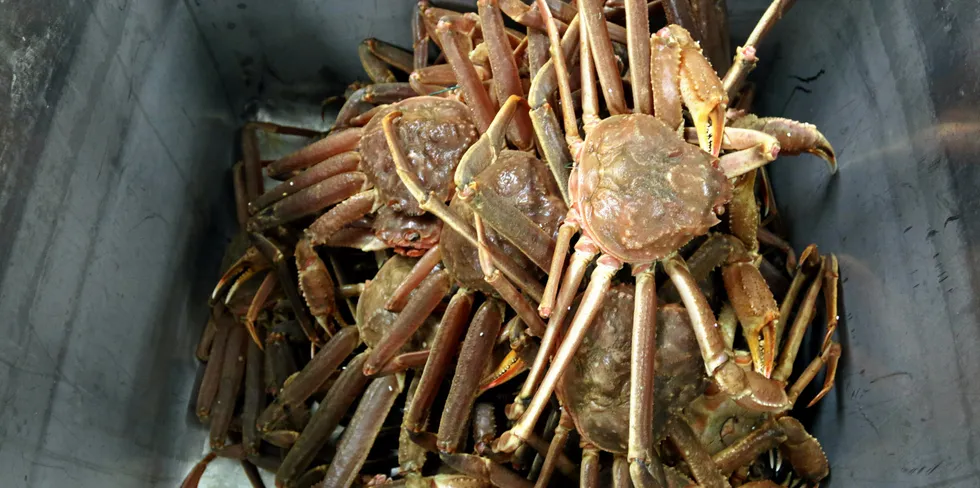 In 2019, the court ruled that EU fisheries must ask permission from Oslo to catch snow crab.