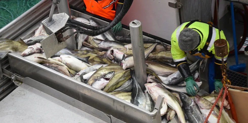 The stakes are high as Russia and Norway negotiate quotas for cod, haddock and other North Atlantic stocks.