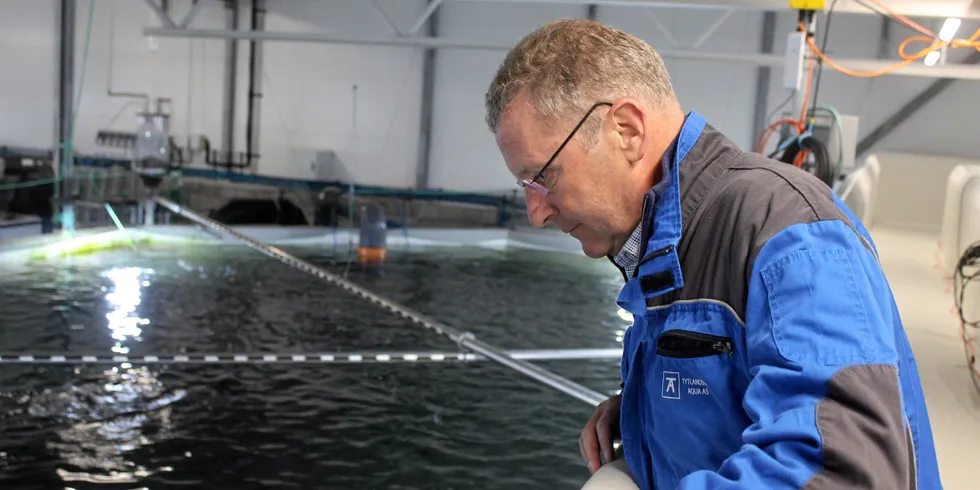 Greig Seafood CEO Andreas Kvame picked up NOK 6.2 million (€619,303/$725,919) in remuneration in 2020.
