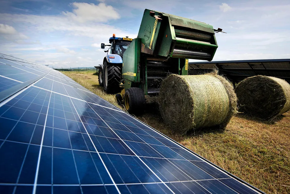 On location: a Lightsource BP project in Cornwall, England