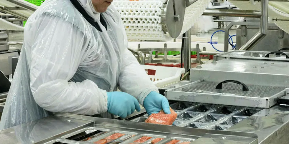 Salmon is rolling of Blumar production lines again after one day halt.