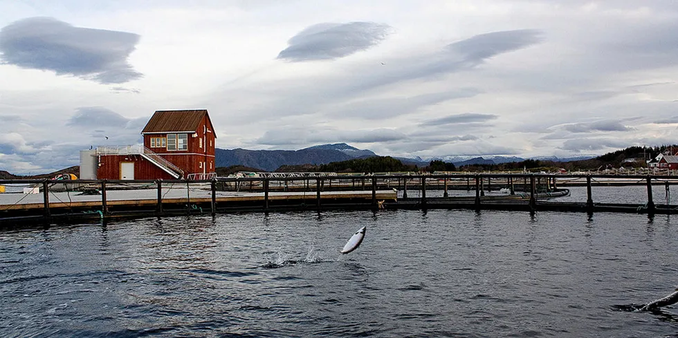Norwegian salmon industry analysts are not exactly jumping for joy at the new proposals.