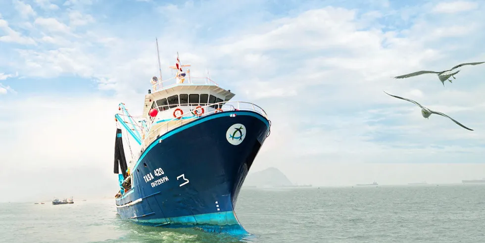 An anchovy harvesting vessel operated by Peruvian company Tasa. Peru's first anchovy season has been dubbed a success.