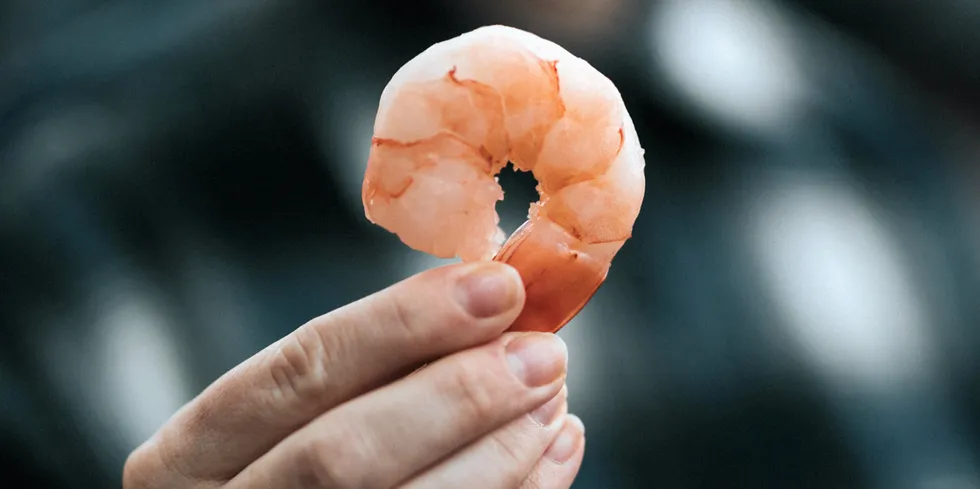 Costs, prices, disease, feed, tech, trade: There are many challenges facing the international shrimp farming industry.