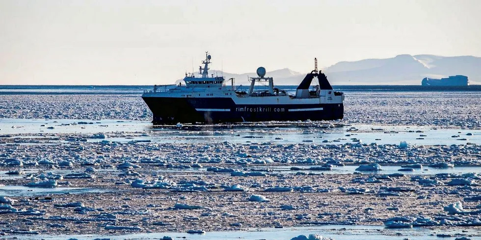 Antarctic krill fishery awarded sustainability 'A' rating again