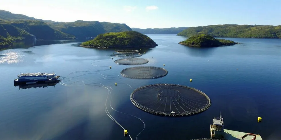 Cooke's Cold Ocean farmed salmon cage site in New Foundland. This week's escape occurred at its Deer Island, New Brunswick site.