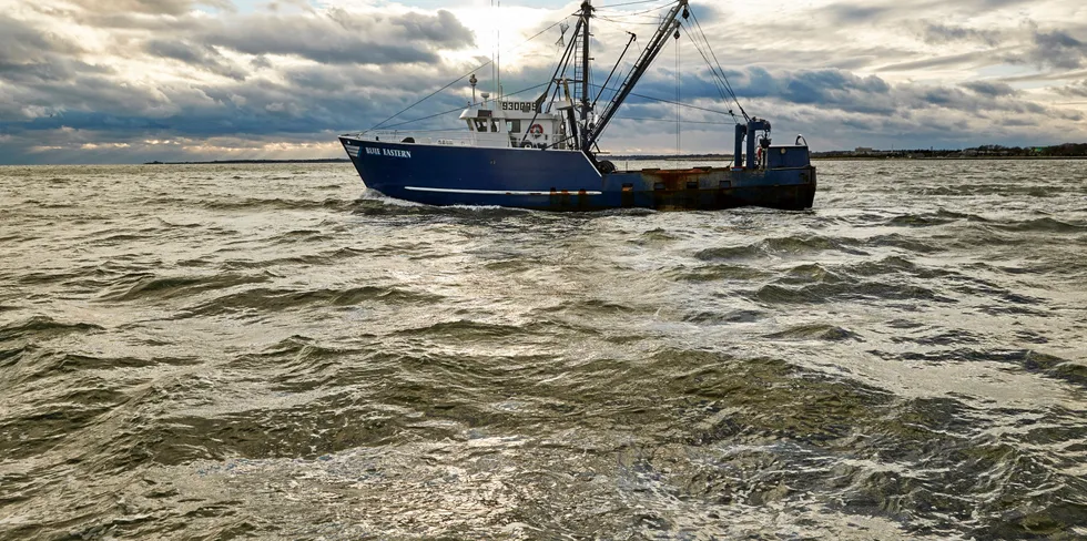 Blue Harvest is selling off its scallop vessels, and this Cooke supplier is picking some of them up.