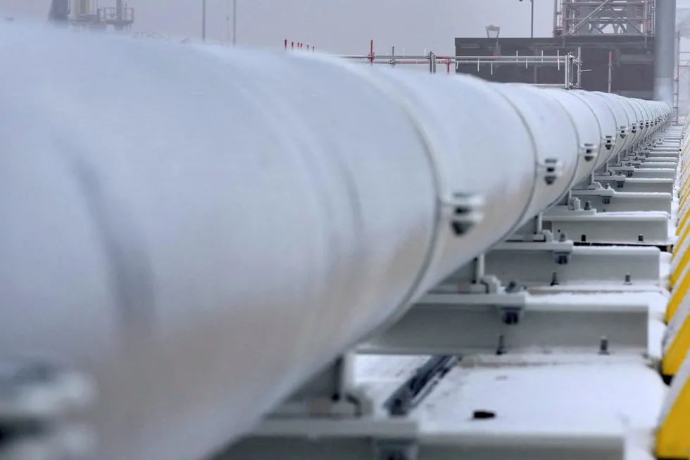 Options: The availability of a new price indicator solely for LNG responded to a need from the market to have a pricing mechanism that better reflected the growing volumes of the liquefied gas traded in Europe.