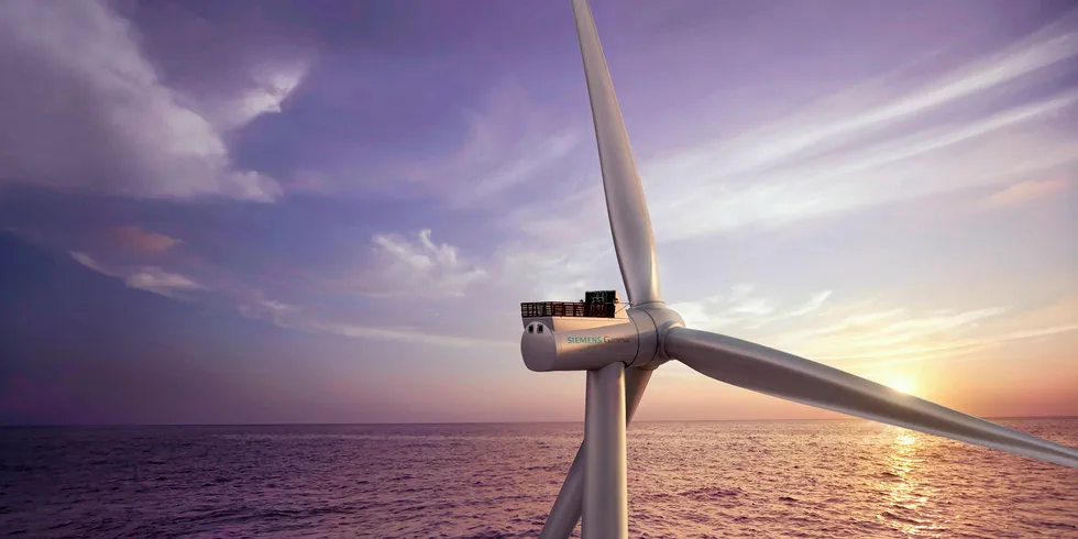 The Taiwan product will use the SG 8.0-167 DD turbine.