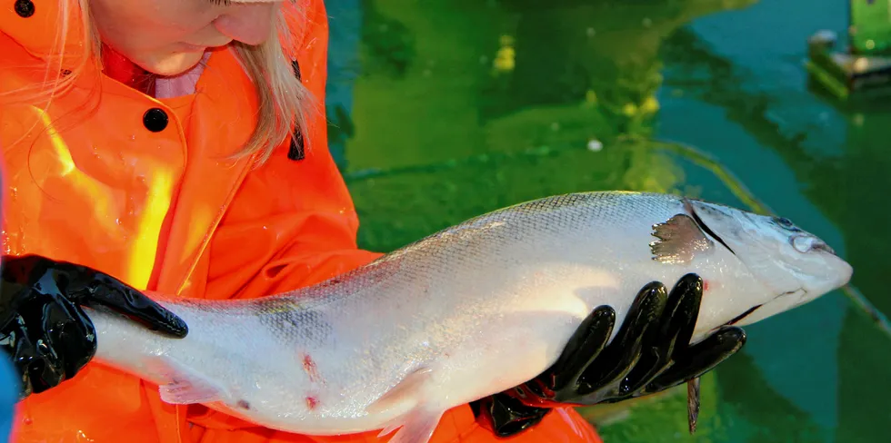 Aqua Pharma is extending its reach -- and its battle against sea lice -- with the acquisition of a Scottish startup.