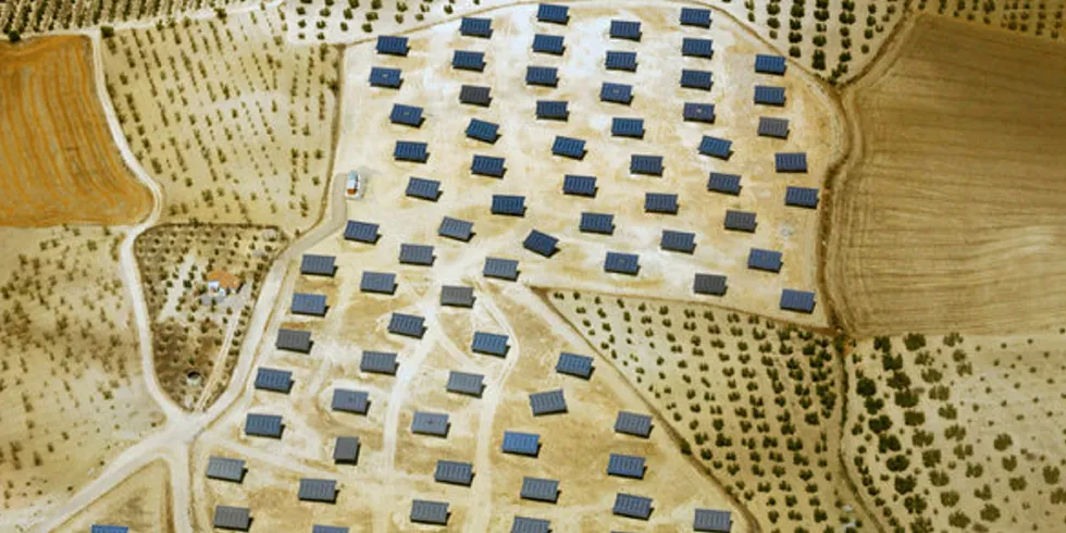 Solar taskforce looking for opportunities in emerging markets: SolarPower Europe