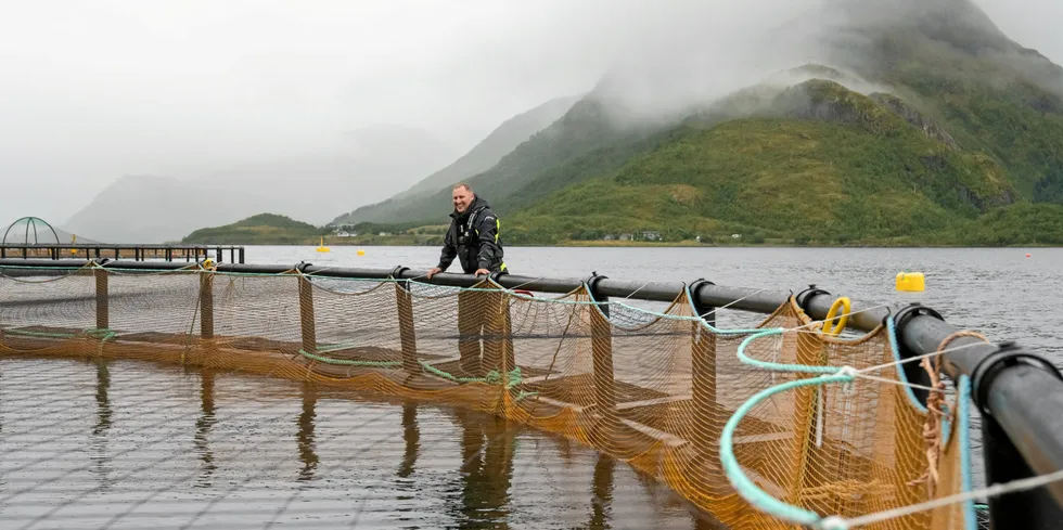 "We cannot sit and wait forever," said Rune Eriksen, board member of the cod farming network Cod Cluster and CEO cod farmer Statt Torsk.