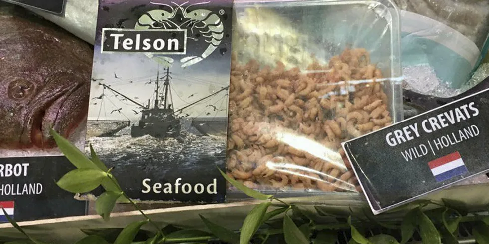 Telson -- part of the Shore Group comprising Belgium’s Morubel, Germany’s Ristic, and Costa Rica’s Rainbow Export Processing -- filed for bankruptcy in March this year.