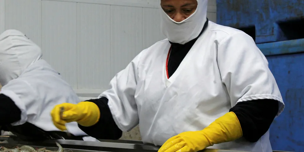 Ecuador's shrimp processing plants are running below half capacity amid lockdown restrictions.
