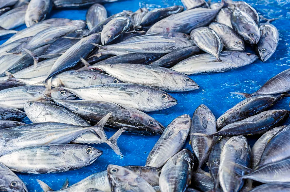 The case revolved around an attempt to develop Mozambique's tuna industry.