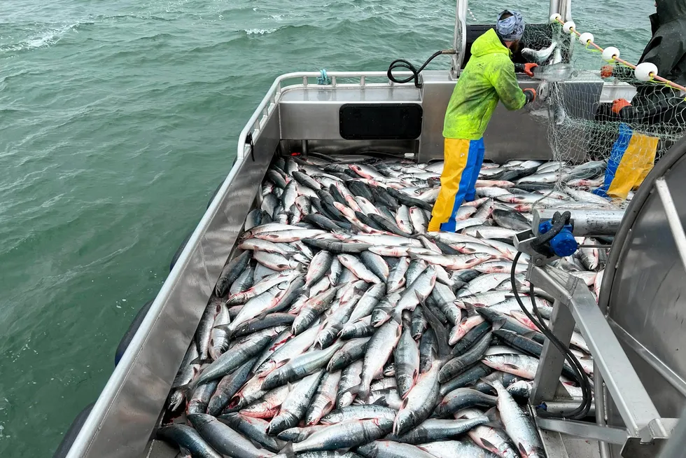 The Alaska seafood industry has been going through financial pains for the past several years. Lawmakers are now looking at legislation that could help.
